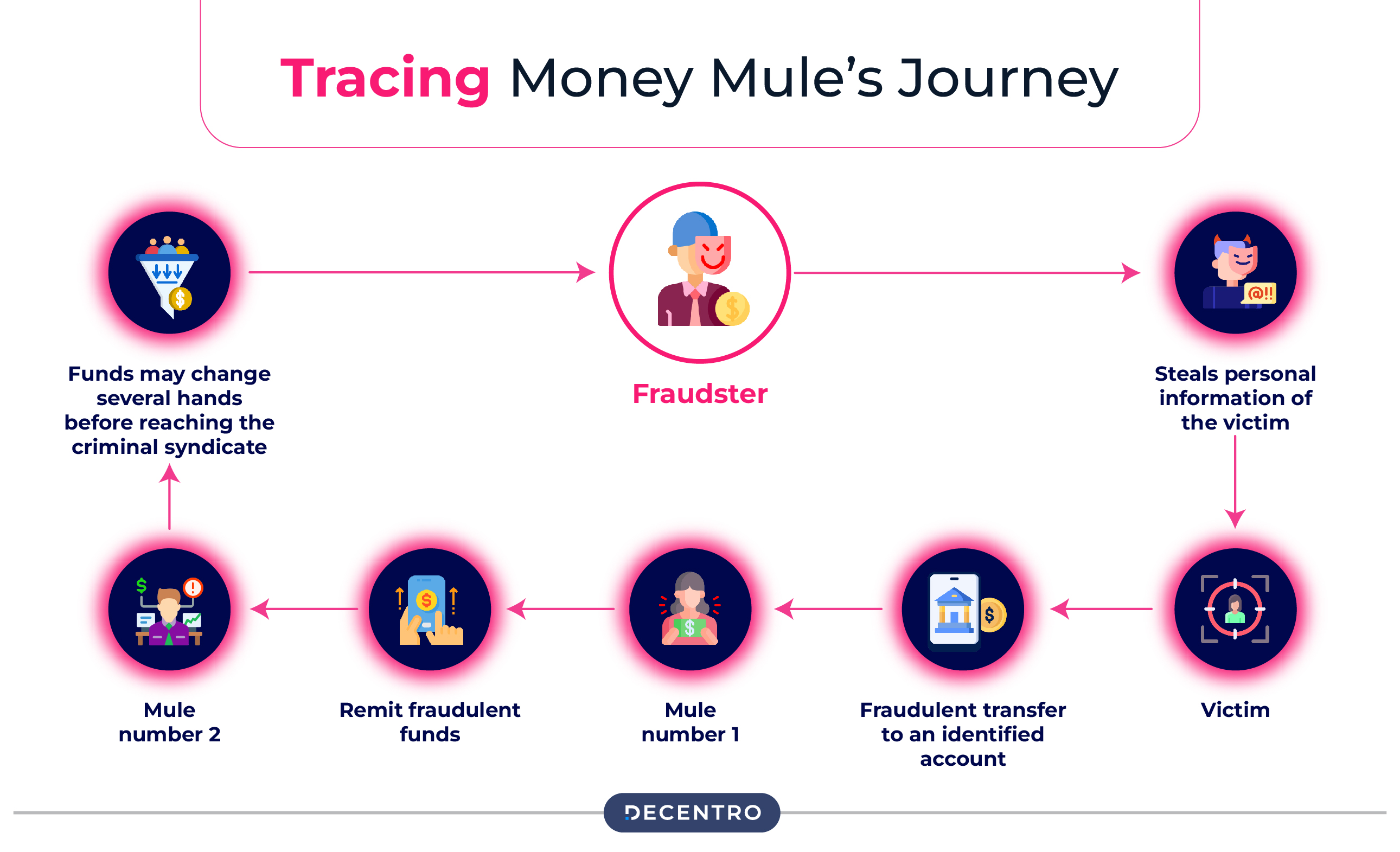 A Money Mule's Journey