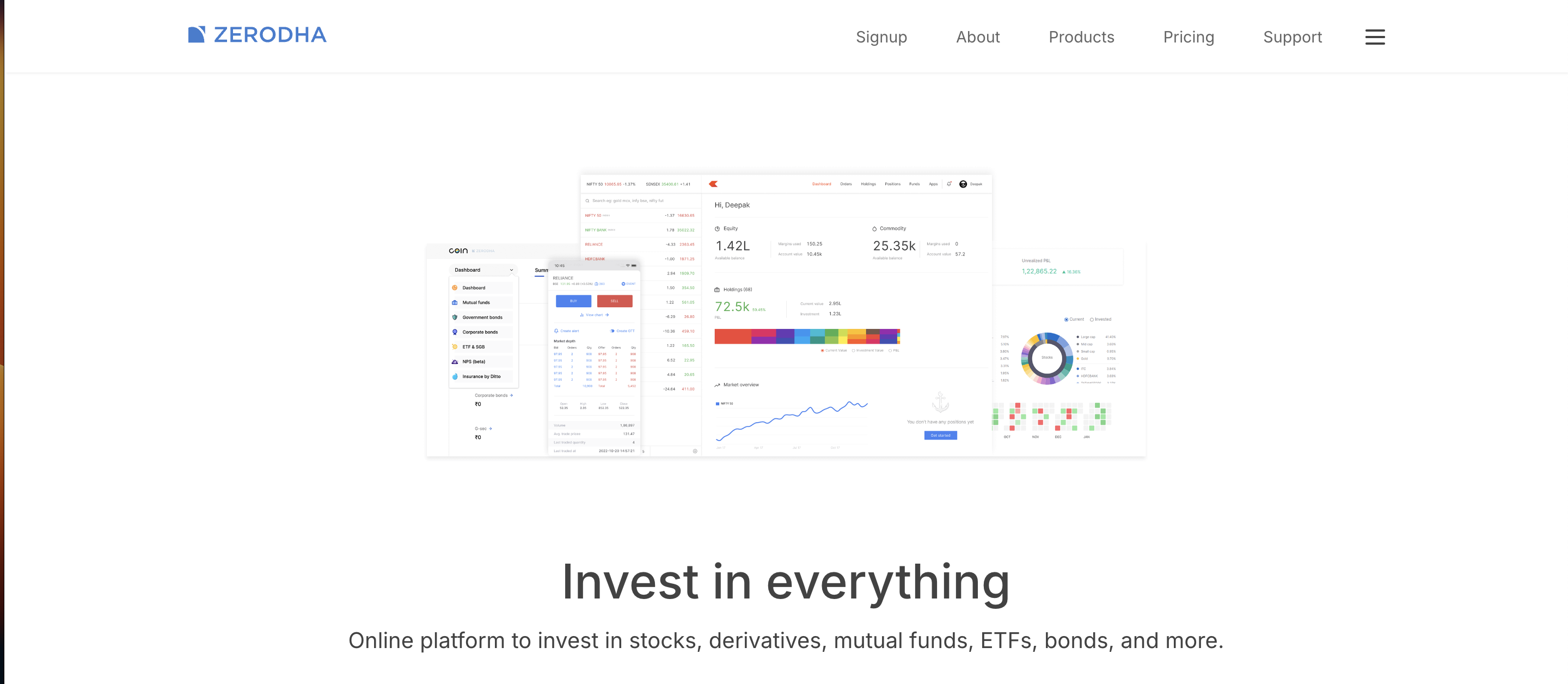 Zerodha website