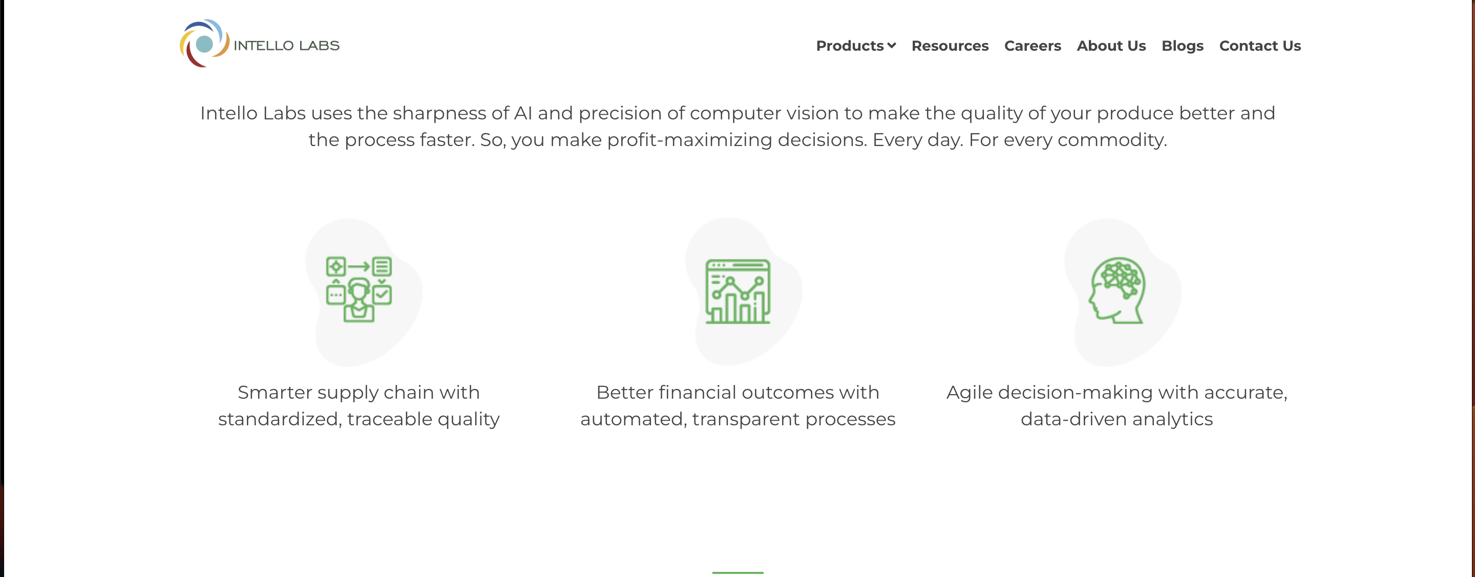 Intello Labs website