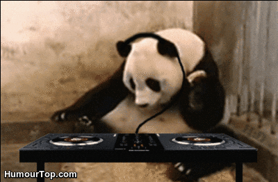 A gif of panda vibing to music, just like software Pandas. 